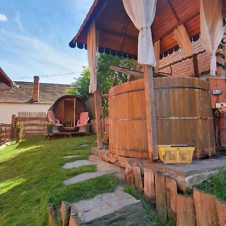 Pension Norbert Сигишоара Экстерьер фото