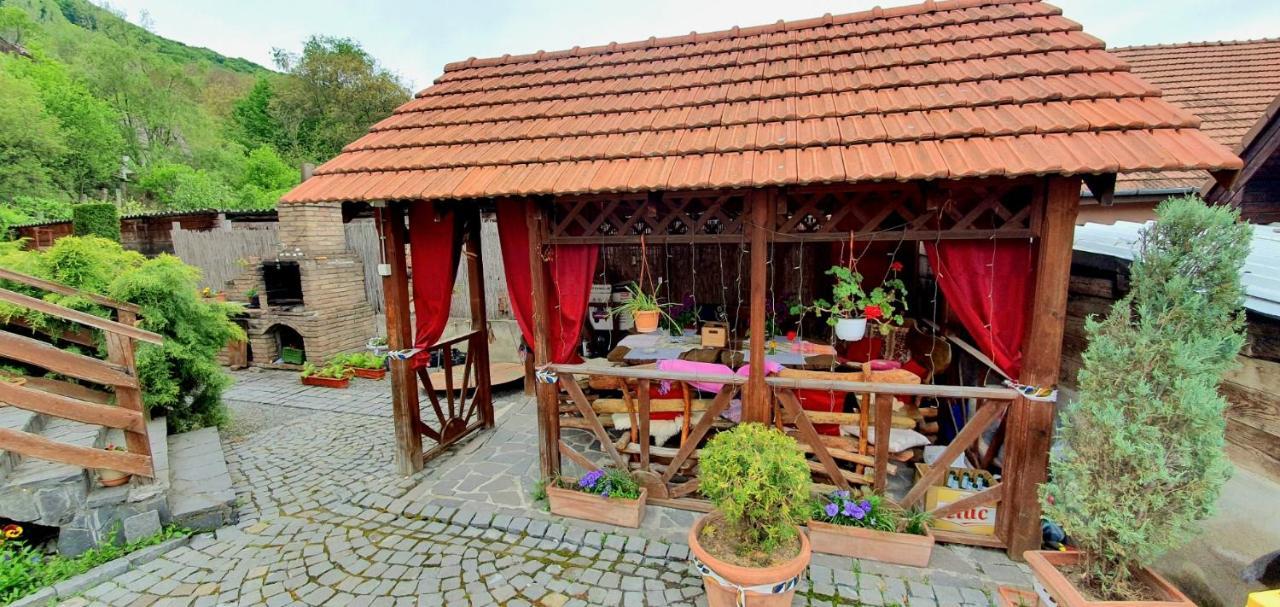Pension Norbert Сигишоара Экстерьер фото