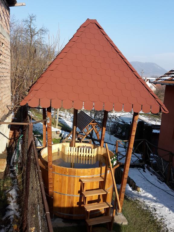 Pension Norbert Сигишоара Экстерьер фото