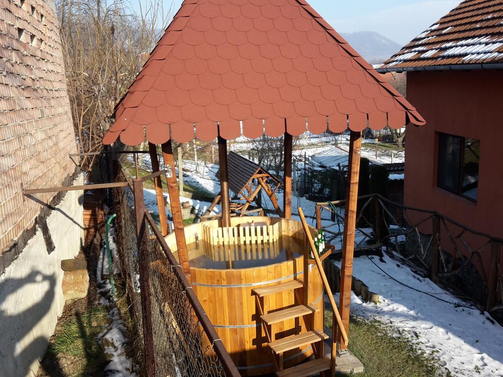 Pension Norbert Сигишоара Экстерьер фото